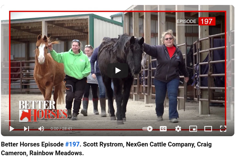 Featured in Better Horses Episode #197