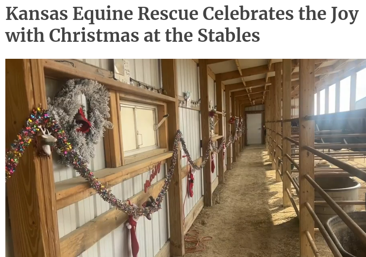 Christmas at the Stables as featured in AgWeb Farm Journal