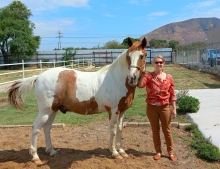 Angelamiller00@gmail.com's picture