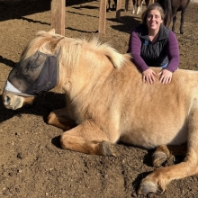 lauren.shaffer@rainbowmeadowsrescue.org's picture
